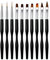 10 Pieces Pinceau Nail Art Ongles Gel Professionnel - LEA-SHALL Pinceaux Fin Liner/Plat/Rond/Acrylique/3D pour Ongles UV Construction en Resine Brosses ã French Manucure Set de Outils Noir