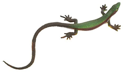 KOMBIUDA Gefälschtes Eidechsenmodell Spielzeug Kinder Realistische Reptilienfigur Für Garten Partydeko Lernspielzeug