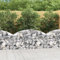 Homgoday Gabione mit Hochbogen Steinkorb Drahtkorb Gabionenwand Gabionenkorb Verstärkte Gabionen Zaun Steingabionen Gabionen Wand 150x30x60/80 cm Verzinktes Eisen