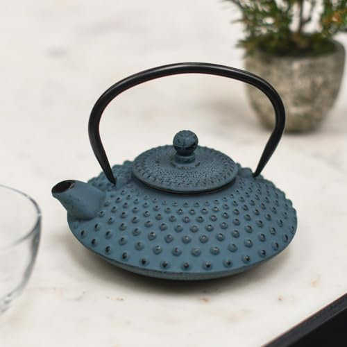 Light Blue & Black Cast Iron Ushirode Kyusu Japanese Style Teapot