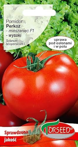 Verdica Perkoz F1 Tomatensamen (Solanum lycopersicum) – Frühreif, ideal für Gewächshäuser & Tunnel, 80-150g Früchte, Robuste Erträge, EU-Qualität (0,1 Gramm)
