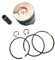 HdZnBs Kit de Pistons Compatible avec Le compacteur à Plaque Vibrant DS70 L48(Piston Set Only)