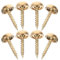 Vokenforu 8 Sets Mirror Screws, 13 mm, Yellow Brass, Dome Head, Self Tapping, Bass Mirror Covers with Decorative Caps for Tables, Bath Plates, Furniture Fittings