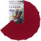 Cahomo Nylon Reparatur Patches, 12 Stück 20x10 cm Selbstklebender Wasserdichte Reparatur Patch, Daunenjacke Flicken Reparaturset，Nylon Flicken Selbstklebend, für Jacken, Zelte, Daunenjacke-Rot