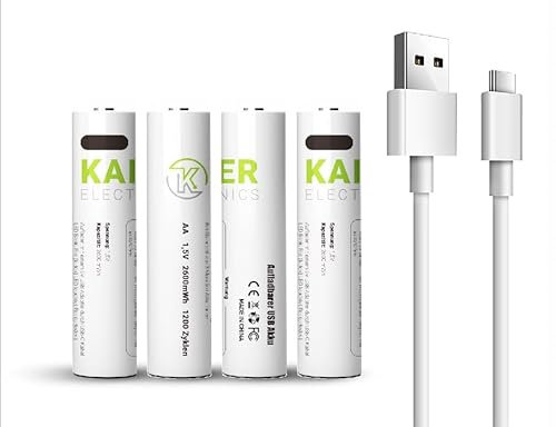 USB-C Lithium-Ionen-Akku (AAA)