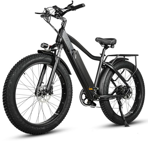 Skivogr 250W E Bike Elektrofahrräder Ebike, 26” ×4.0 Fat E-Bike, 48V 17Ah Akku, Electric Bikes Herren Damen (26×4.0 Ölbremse Schwarz)