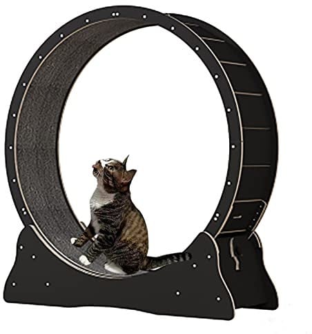 GLJTUO Schwarzes Katzenlaufband Aus Holz, Verschleißfestes Katzenlaufrad/Gerät Zur Gewichtsabnahme Bei Katzen, Kletter-Spinnrad Für Kleine/Mittelgroße/Große Katzen,Black-Inner Diameter-100cm(39.4