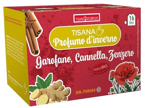 Tisana Profumo D'Inverno 20 filtri Chiodi di garofano, cannella e zenzero