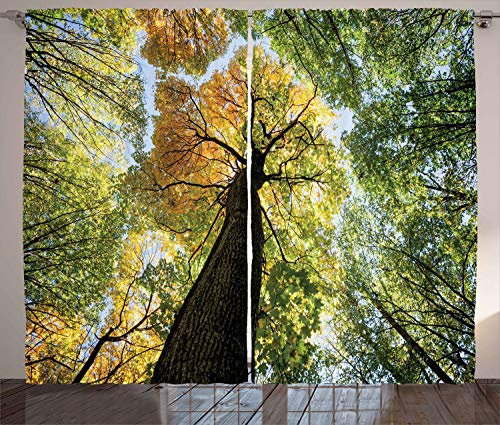 ABAKUHAUS Baum Rustikaler Vorhang, Wald Herbst Wachstum Eco, Wohnzimmer Universalband Gardinen mit Schlaufen und Haken, 280 x 260 cm, Dunkelbraun Hellgrün