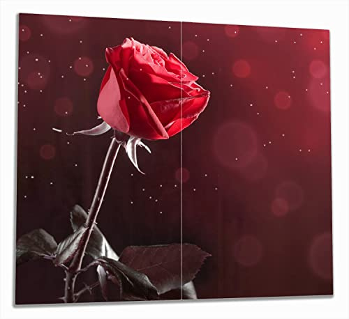 Wallario Herdabdeckplatte/Spritzschutz aus Glas, 2-teilig, 60x52cm, für Ceran- und Induktionsherde, Rote Rose Single