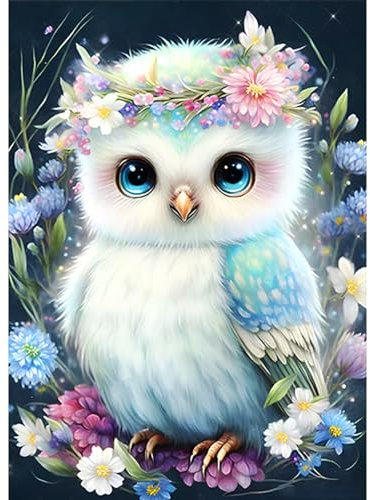 CEOVR Diamond Painting Adult Eule 5D Diamond Painting Bilder Set,Vogel und Kranz Diamant Painting Art Kit,30x40 cm Diamond-painting,Painting Decorations,