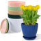 MUXINCAMP Große Blumentöpfe, 17,8 cm, 6 Stück, Blumentöpfe mit Drainageloch und Untersetzer, Kunststoff-Blumentopf für drinnen und draußen, Zimmerpflanzen und Blumen, Kräuter (6 Farben)