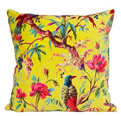 Paoletti Paradise Quadratischer Kissenbezug - Aracia Bunter Vogel-Print Samtiger Baumwollstoff (50 x 50 cm, 1 Stück)