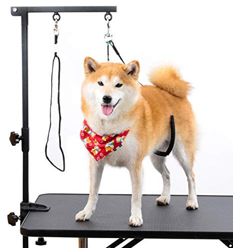 Breeze Touch Dog Grooming Arm - 32 Dog Grooming Table Arm with Clamp and Post, Loop Noose, No Sit Haunch Holder Grooming Restraint for Small & Medium Dogs