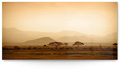 BilderKing Impostantes XXL Acrylglasverbund-Bild 180x90cm, Afrika als Panorama hinter 8mm Acryl gedruckt. Motiv Savanne als Acrylbild für Wohnzimmer, Schlafzimmer