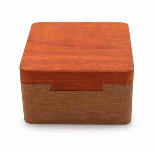 Fxzqgnh Caja con Compartimento Misterioso, Juguete Inteligencia 3D para Adultos y Niños, para la Mente