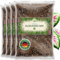 ORAGARDEN Alocasien Erde für Zimmerpflanzen und Garten - 12L Alokasien Substrat für Pflanzen, Palmen, Blumen - 6 Komponenten Blumenerde
