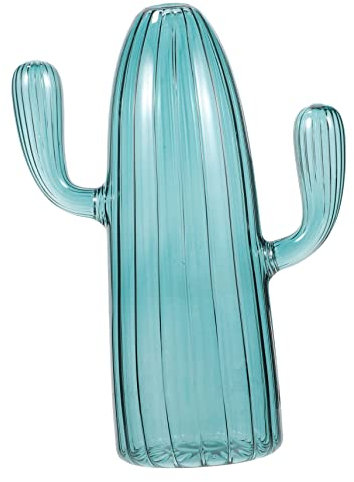 SOLUSTRE Aromatherapie-flaschendekoration Pflanzenterrarium Klare Kaktus Terrarium Halter Pflanzendekor Kaktusvase Zur Dekoration Minitöpfe Mini-vasen Kaktusvasen Für Blumen Glas Anlage