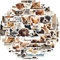 Animal Stickers for Laptop (50 PCS),Gift for Children Teens Adults Girl Boys,Waterproof Stickers for Water Bottle,Animals Dogs and Cats Vinyl Stickers for Scrapbook,Skateboard,Bike,Phone,Dairy