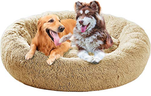 Xpnit Deluxe Antistress Hundebett Sofa Waschbar Rundes Plüsch Hundekissen in Doughnut-Form, Warme Bequeme Hundesofa für Mittelgroße und Große Hunde (Beige,M-70cm)