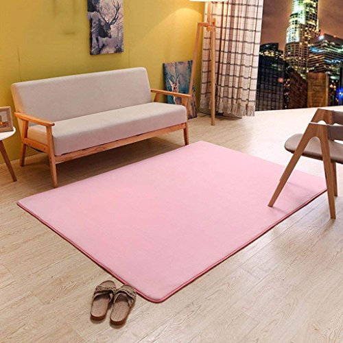 GZ Rug Home Coral Carpets Simple European Carpets, Living Room Bedroom Carpets Coffee Mat Mats Bedside Blankets Full Floor Carpets,101 * 101CM,AAA