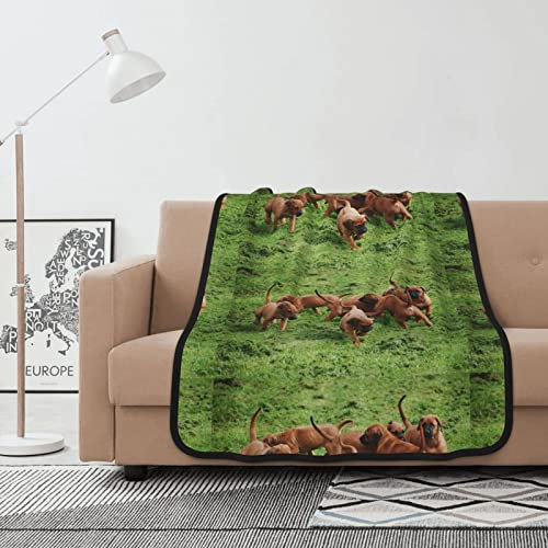 Decke Rhodesian Ridgebacks Hunde Welpen Haustiere Familie Warmer Flanell-Fleece-Plüsch-Sofa-Überwurf als Tagesdecke/Bettdecke/Bettlaken 102 x 127 cm
