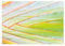 100 Tischunterlage Palmenblatt Tropic Asia I DIN A3 eckig I Platz-Set aus Papier I modernes Design I Einweg Tischset I grün Natur I Gastronomie und Haushalt I dv1066