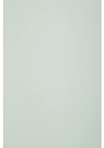 Netuno 10x Pastell Grün Natur Papier DIN A4 21 x 29,7 cm 120g Keaykolour Pastel Green Bastelpapier A4 Hellrosa hochwertige Qualität für Druckaufgaben Einladungs Karten Hochzeits Karten