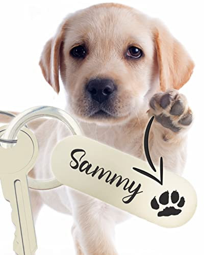 rieva® Edelstahl-Schlüsselanhänger mit gravierter Hundepfote - Made in Germany - wahlweise Hund oder Katze - Geschenke für Hundeliebhaber und -besitzer