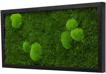 Moosbild im Forest Design rechteckig versch. Maße günstig, Wandbild, Mooswand, Pflanzenbild mit Kugel-Flachmoos und Holzrahmen (60x30 cm, schwarz)