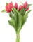 mucplants künstliche Tulpen Tulpenbündel mit 4 Tulpen und 3 Tulpenknospen real Touch (Beauty)