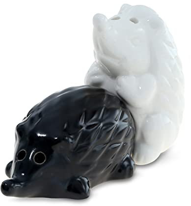 Saliera e Pepiera Set in Porcellana - Porta Sale Pepe Carini - Regalo Inaugurazione Casa, Regalo Matrimonio, Regalo di Compleanno per Coppie - Saliera Pepiera - Decorazione Animale (Riccio)
