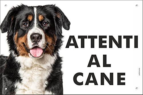 pubblimania BOVARO DEL BERNESE Cartello Attenti al Cane in metallo Alluminio, spessore 3mm (Cm 20x30)
