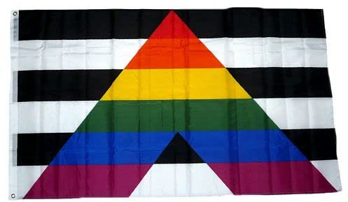 Fahne/Flagge Straight Ally 90 x 150 cm
