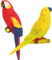 jojofuny Fridge Magnets 2pcs Bird Refrigerator 3D Parrot Fridge Decorative Magnetic Fridge for Fridge Dishwasher Whiteboard Dry Erase Board Decoration Fridge Whiteboard