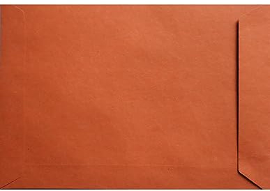 Netuno 100x Versandtasche DIN C5 Orange 162 x 229 mm 110g Design Eko Briefkuvert groß a5 Briefumschlag Öko Papier farbige Versandtasche Papierbriefumschlag groß ohne Fenster Recycling Briefkuvert c5