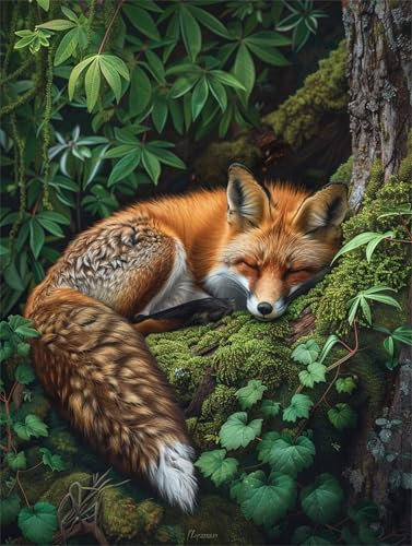 DIY Malen Nach Zahlen Erwachsene Fuchs Malen Nach Zahlen Wald Malen Nach Zahlen ab 7 8 9 10 Jahre Mädchen Bastelset, Farbe Acrylfarbe Ölgemälde Set, Zimmer Deko, Gift (50x70 cm Mit Rahmen)-k497