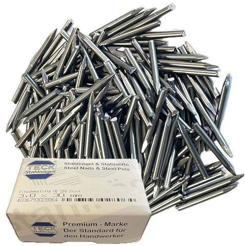 TECK Stahlnägel Fitschenstifte 3,0x30mm - Perfekt für Türbänder & Holzverbindungen | 250 Stück