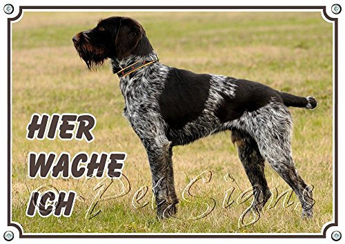 Petsigns Hundeschild rostfrei - Deutsch Drahthaar - Exklusives Metallschild - uv-beständig, DIN A4
