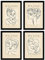 Nacnic Set mit 4 Illustrationen von Picasso, Portrait, Kunstgalerie-Stil, Gemälde für die Innendekoration, A4, ohne Rahmen.