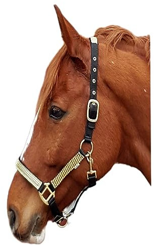Halfter Hilly Go Goldfarben Glitzer wie Strass Minishetty Shetty Pony VB WB X- Full Kleiner Kalter Tysons B- Ware !!! (WB)