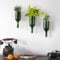 GoGiftid Upcycled Wine Bottle Wall Planters Set of 3 | Rustic Indoor Herb Garden Pots with Metal Mount | Recycled Hydroponic Flower Vases | Eco-Friendly Home Decor | Handmade Plant Lover Gift
