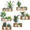Zfseyuh Pegatinas de Pared para Cocina Pegatina 3D Planta para Pared en Maceta Calcomanías de Jarrón Plantas Pegatinas de Pared Extraíbles para Sala de Estar y Dormitorio