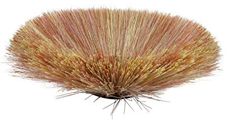 Seitenbesen 5K für Amros 760 Kehrbesen Maschinenbesen Kehrmaschinenbesen Tellerbesen