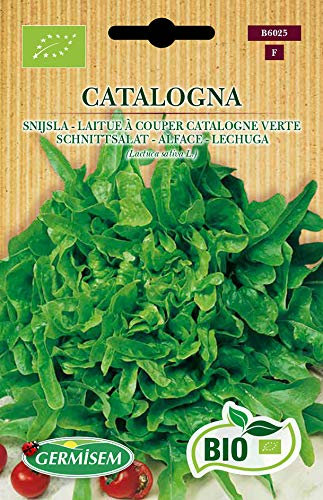 Germisem Bio Graines Laitue à couper Catalogne verte CATALOGNA