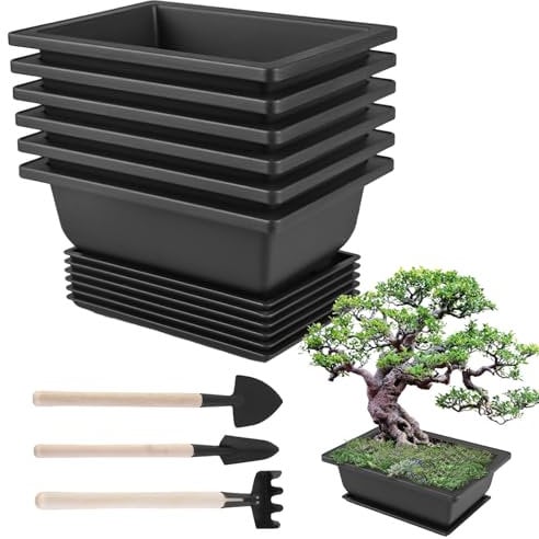 6 Stück Bonsai Trainingsschalen mit Tabletts, Kunststoff Bonsai Trainingstöpfe, Rechteck Bonsai Trainingstöpfe aus Kunststoff mit Gartenwerkzeug-Set, Plastik Blumenpot Bonsai Pflanzer für Terrasse
