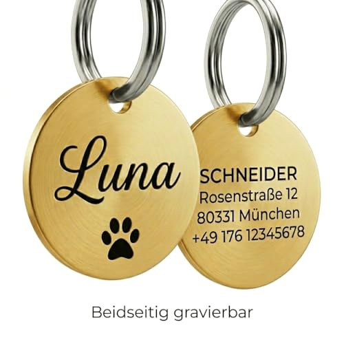 Hundemarke mit Gravur Personalisiert | Edelstahl Anhänger für Hunde & Katzen | Name + Symbolauswahl | Vorder- & Rückseite gravierbar | Dog Tag Namensschild Tiermarke | Rostfrei & Wetterfest (Gold)