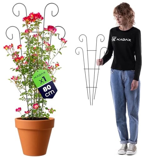KADAX Grigliato per Piante Rampicanti in Acciaio - 36 x 80 cm - Supporto per Rose e Clematidi - Acciaio Verniciato a Polvere Antiruggine Resistente a UV e Umidità