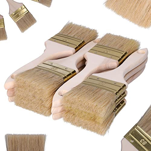 ToolSpace Pinselset Borstenpinsel 12er Set 63mm Breit Flachpinsel Naturborsten Einwegpinsel oder Universal Pinsel Lackierpinsel Lackpinsel für Lacke Holz Möbel Malerpinsel Wandpinsel Streichpinsel