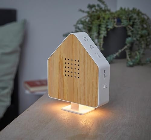 Northpoint Naturgeräuschebox Vogel Gesang Vogelzwitscher Box Echtholz unsichtbarer HF Bewegungssensor Vogelgeräusche Licht Aufladbar mit Wandhalterung Haus Weißesche Holz